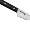Samura DAMASCUS 67 Universalus virtuvinis peilis 3,9"/98mm iš AUS 10 Damasko plieno 61 HRC (67 sluoksniai)