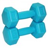 SportVida 2in1 GYM & Fitness Comfort svarmenų rinkinys 2x1kg, mėlyni