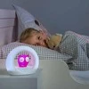 Zazu Lou išmanioji pelėda - naktinė lempa su kūdikio verksmo garso jutikliu vaikams (nuo 0 mėnesių) Pilkas