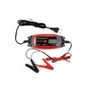 Amio Automatinis akumuliatoriaus įkroviklis AGM 6V/12V - DVL DBC-4A
