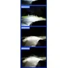 Autoreka LED HB5 lemputės 2vnt. +500% super light CANBUS 9007
