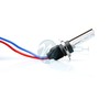 M-TECH Ksenoninės lemputės Basic H11 6000K