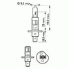 Philips Lemputės H1 LongLife EcoVision