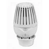 termostatinė galvutė R460 (Naujiena)