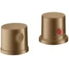 vannas termostata Axor Uno² virsapmetuma daļa, 2 caurumu, uz virsmas, brushed bronze
