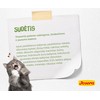 Josera Kitten GrainFree begrūdis sausas maistas kačiukams ir maitinančioms katėms 10kg