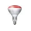 Lemputė Philips 250 W 22314