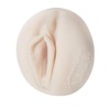 Fleshlight Jessica Drake vagina Heavenly
