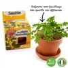 Auginimo rinkinys vaikams RADIS et CAPUCINE Jautrioji mimoza