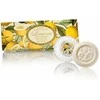 SAF FIORENTINO apvalių muilų su įspaudu rinkinys Citrina, 3x100 g