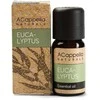 Eterinis aliejus“Eukaliptas“,10 ml