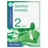 Šviesa Gamtos mokslai. Pratybų sąsiuvinis 2 klasei. Serija Maži milžinai