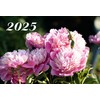 Kalen. 2027 3 dalių LRS /3 rūšys/