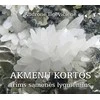 KNYGA Akmenų kortos trims sąmonės lygmenims