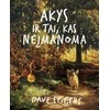 KNYGA Akys ir tai, kas neįmanoma