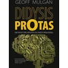 KNYGA Didysis protas. Kaip kolektyvinis intelektas gali pakeisti mūsų pasaulį