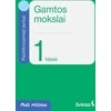 KNYGA Šviesa Gamtos mokslai. Pasitikrinamieji darbai 1 klasei. Serija Maži milžinai