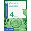 KNYGA Šviesa Gamtos mokslai. Pratybų sąsiuvinis 4 klasei. Serija Maži milžinai