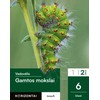 KNYGA Šviesa Gamtos mokslai. Vadovėlis 6 klasei, 2 dalis, serija Horizontai