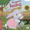 KNYGA Paliesk ir pajusk. Kas gyvena kaime