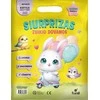 KNYGA Siurprizas. Zuikio dovanos