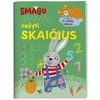 KNYGA Smagu rašyti skaičius. 4-5 metų vaikams