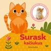 KNYGA Surask kačiukus. Su nuotraukomis, medžiagėlėmis ir iššokančiu katinėliu!
