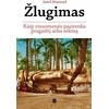 KNYGA Žlugimas