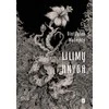 Lilimų knyga. Akmentakiai. 1 dalis