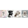 Sąsiuvinis 12 lapų langeliais 12# I lOVE PETS