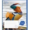 Sąsiuvinis Mandarininė antis, linijomis, 24lapų