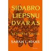 Sidabro liepsnų dvaras. Ketvirta knyga