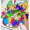 Splat Planet tapyba pagal skaičius, PRANCŪZŲ BULDOGAS 30x40 cm