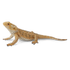 Collecta Figūrėlė Barzdotasis drakonas (driežas) (L)