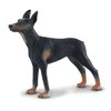 Collecta Figūrėlė Dobermanas pinčeris (L)