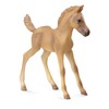 Collecta Figūrėlė Haflindžerio veislės kumeliukas (M)