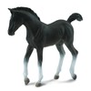 Collecta Figūrėlė Tenesio veislės juodas kumeliukas (M)