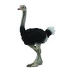 Collecta Figūrėlė - Strutis