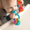 Kolorowe Baloniki FAT BRAINS PipSquigz Loops lipšniukai (mėlynas), FA166-1