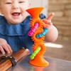 Kolorowe Baloniki FAT BRAINS PipSquigz Loops lipšniukai (oranžinis), FA165-1