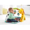 FISHER PRICE lavinamasis kilimėlis Toddler Play Zone, CCB70