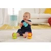 FISHER PRICE rinkinys Linksmieji gyvūnėliai, CDN54
