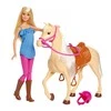 Mattel BARBIE lėlė ir jos žirgas, FXH13