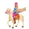 Mattel BARBIE lėlė ir jos žirgas, FXH13