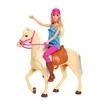 Mattel BARBIE lėlė ir jos žirgas, FXH13