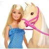 Mattel BARBIE lėlė ir jos žirgas, FXH13