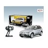 RASTAR automodelis valdomas 1:18 Bmw x5, 23100