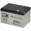 AKUMULIATORIUS 12V/12AH-MWS