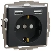Kištukinis lizdas su įžeminimu Schneider Electric Sedna Design SDD114052 (antracitas, 2xUSB-A)