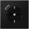 Kištukinis lizdas su USB JUNG LS1520-18ASWM (juodas, matinis, 16A/250V)